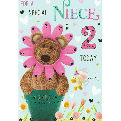 Picture of FOR A SPECIAL NIECE 2 TODAY